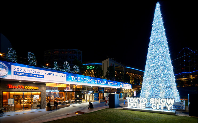 WONDER SNOW TREE illuminations