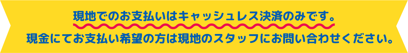 Payment on site is cashless only. If you wish to pay by cash, please ask the local staff.